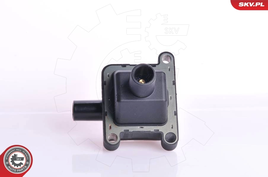 Ignition Coil 03SKV009