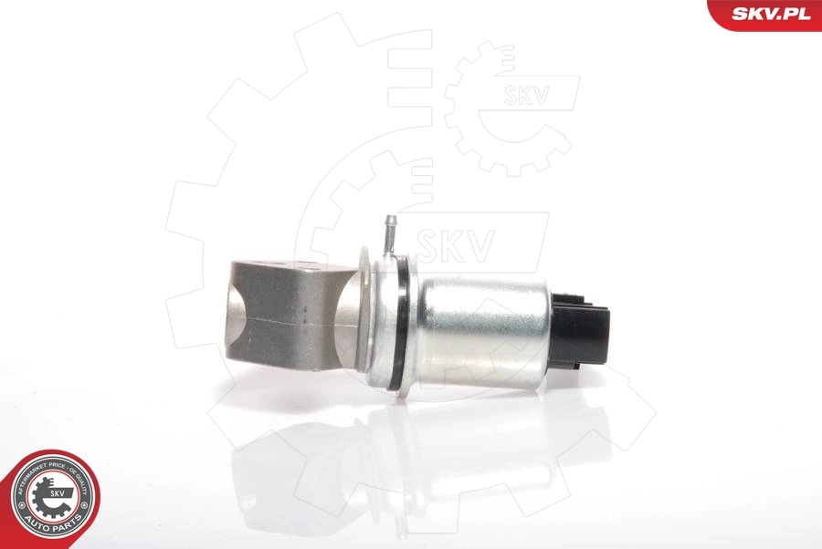 EGR Valve 14SKV016