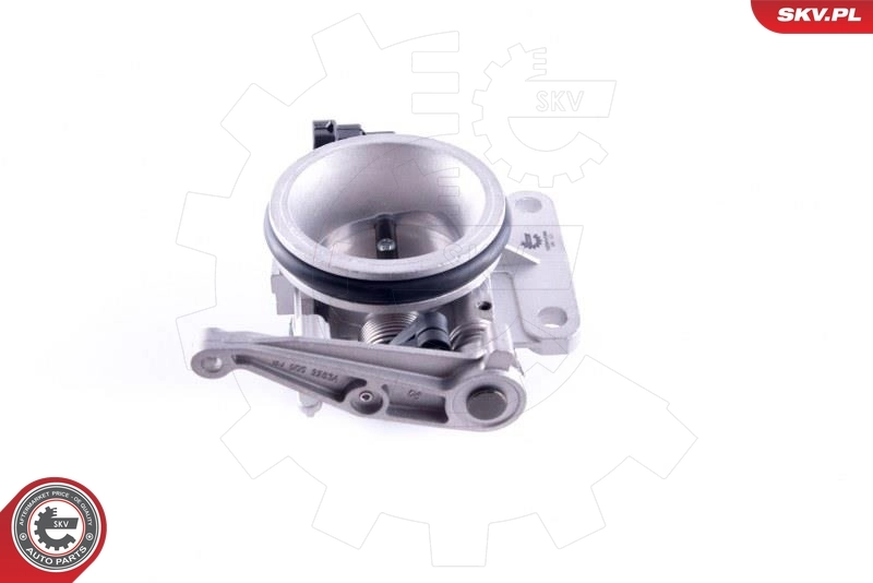 Throttle Body 12SKV086