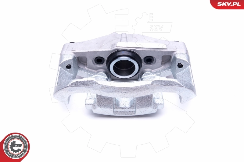 Brake Caliper 46SKV161