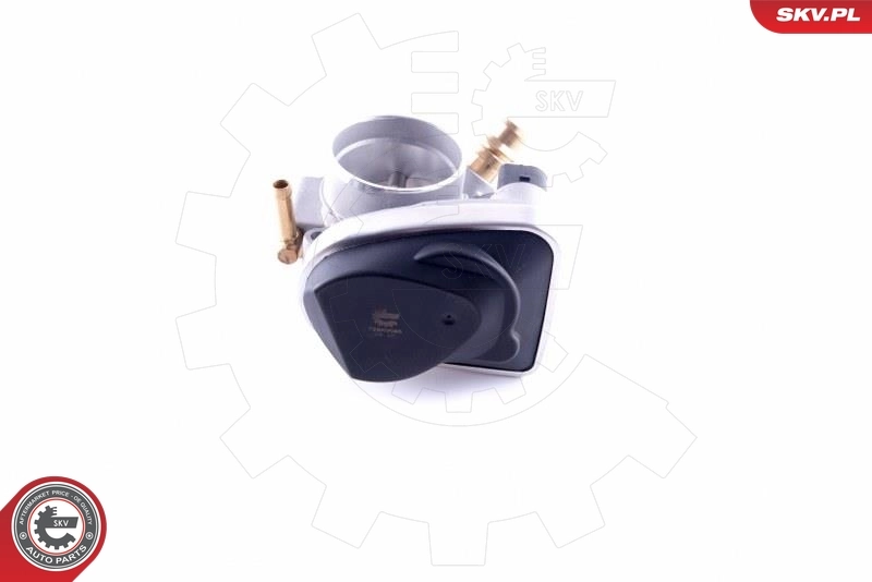 Throttle Body 12SKV095