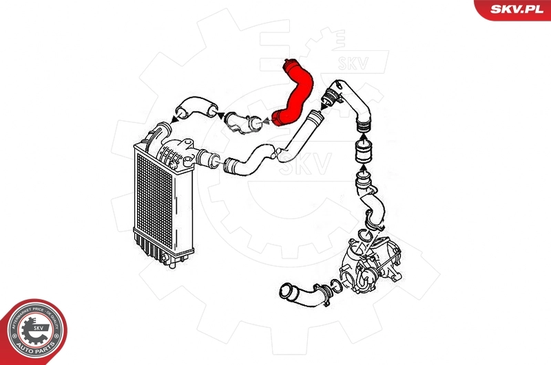 Charge Air Hose 24SKV551