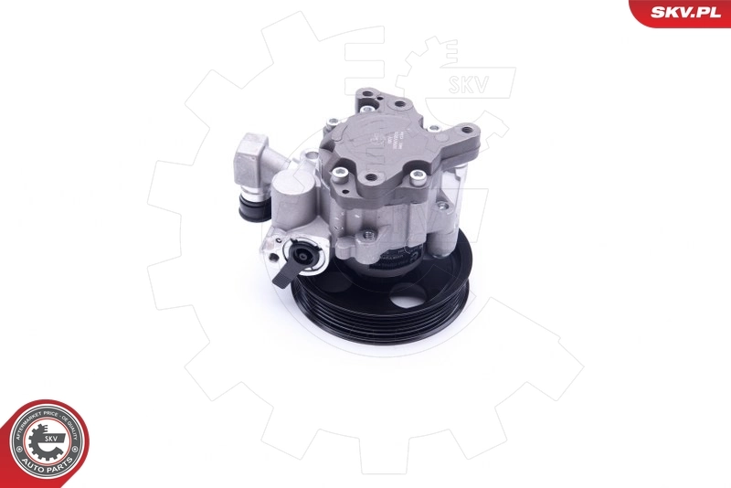 Hydraulic Pump, steering 10SKV273