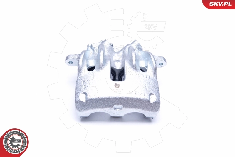Brake Caliper 42SKV721