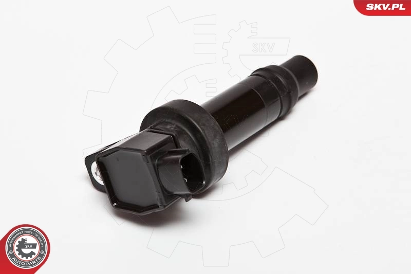 Ignition Coil 03SKV200