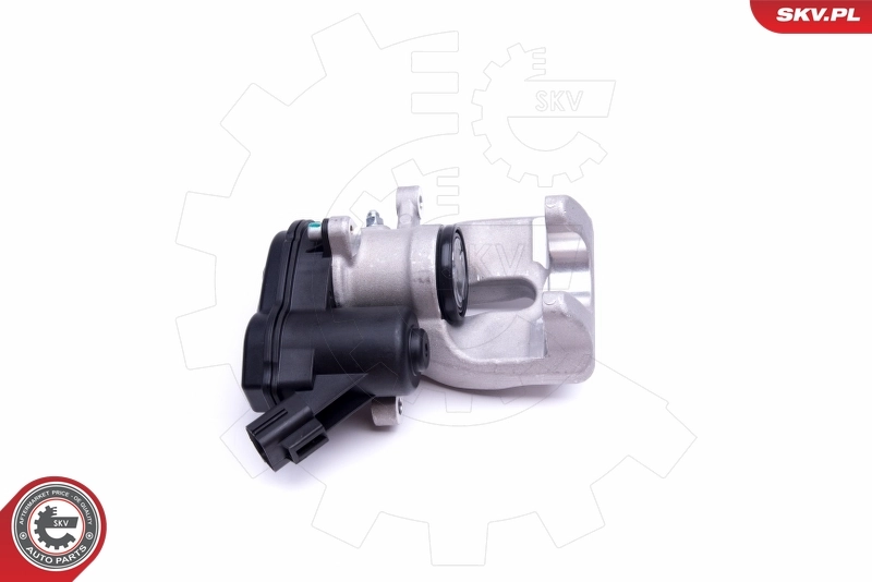 Brake Caliper 46SKV753