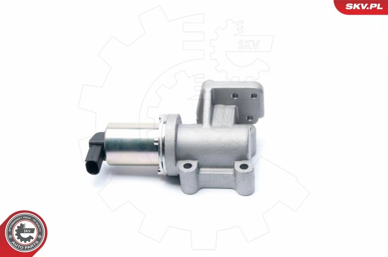 EGR Valve 14SKV099