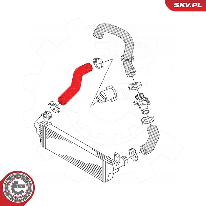 Charge Air Hose 43SKV465