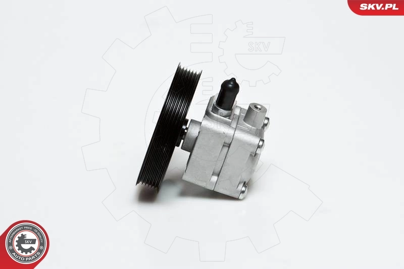 Hydraulic Pump, steering 10SKV176