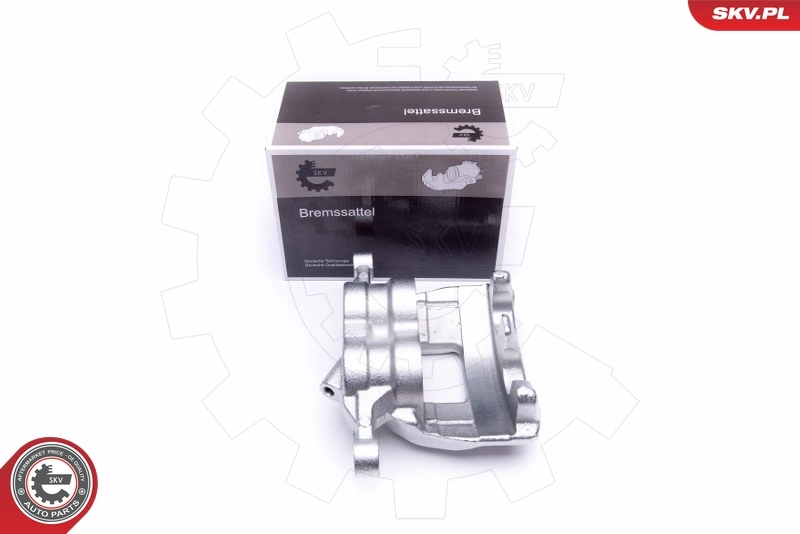 Brake Caliper 50SKV011