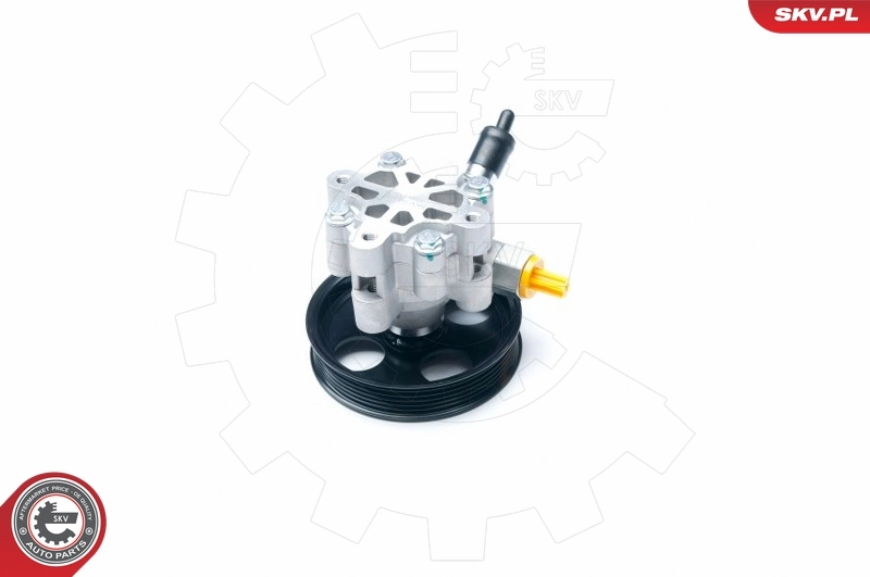 Hydraulic Pump, steering 10SKV195