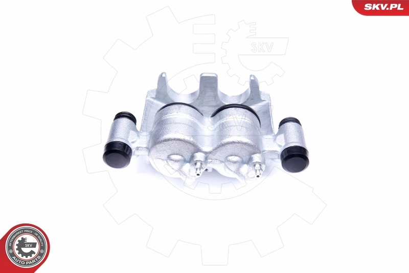 Brake Caliper 42SKV861