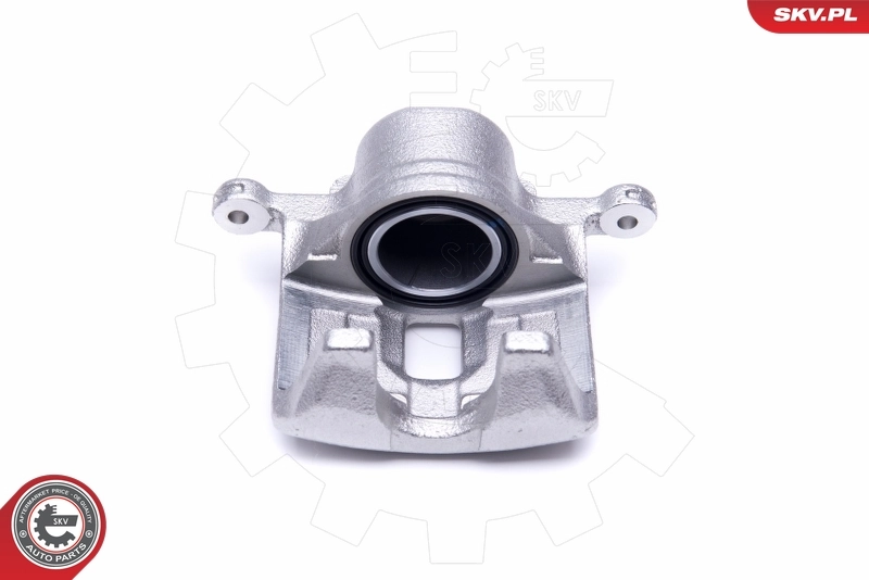 Brake Caliper 50SKV422