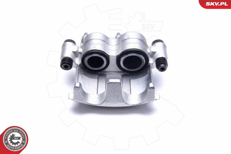 Brake Caliper 55SKV181