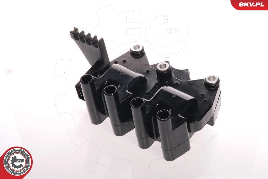 Ignition Coil 03SKV004