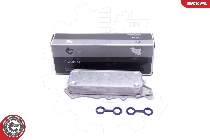Oil Cooler, engine oil 31SKV217