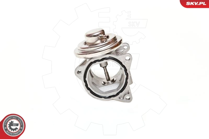 EGR Valve 14SKV019