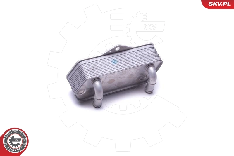 Oil Cooler, engine oil 31SKV207