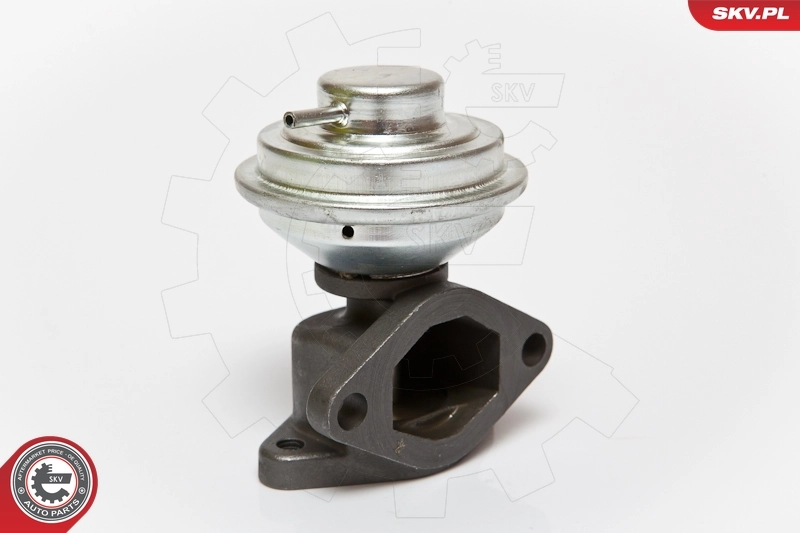 EGR Valve 14SKV051