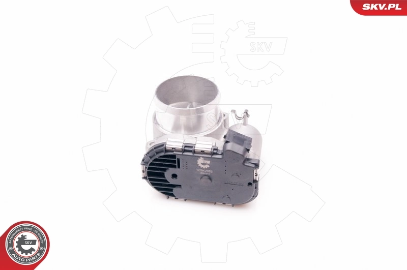 Throttle Body 12SKV053