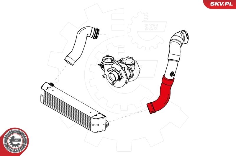 Charge Air Hose 24SKV155