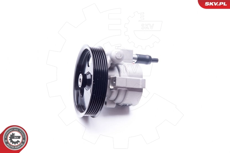 Hydraulic Pump, steering 10SKV207