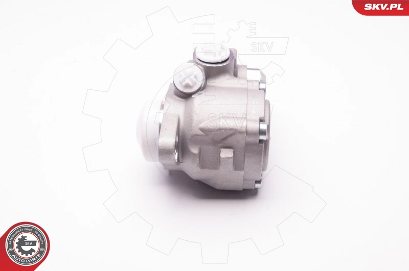 Hydraulic Pump, steering 1SKV0006