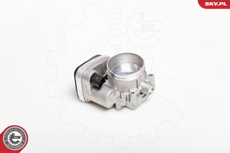 Throttle Body 12SKV040