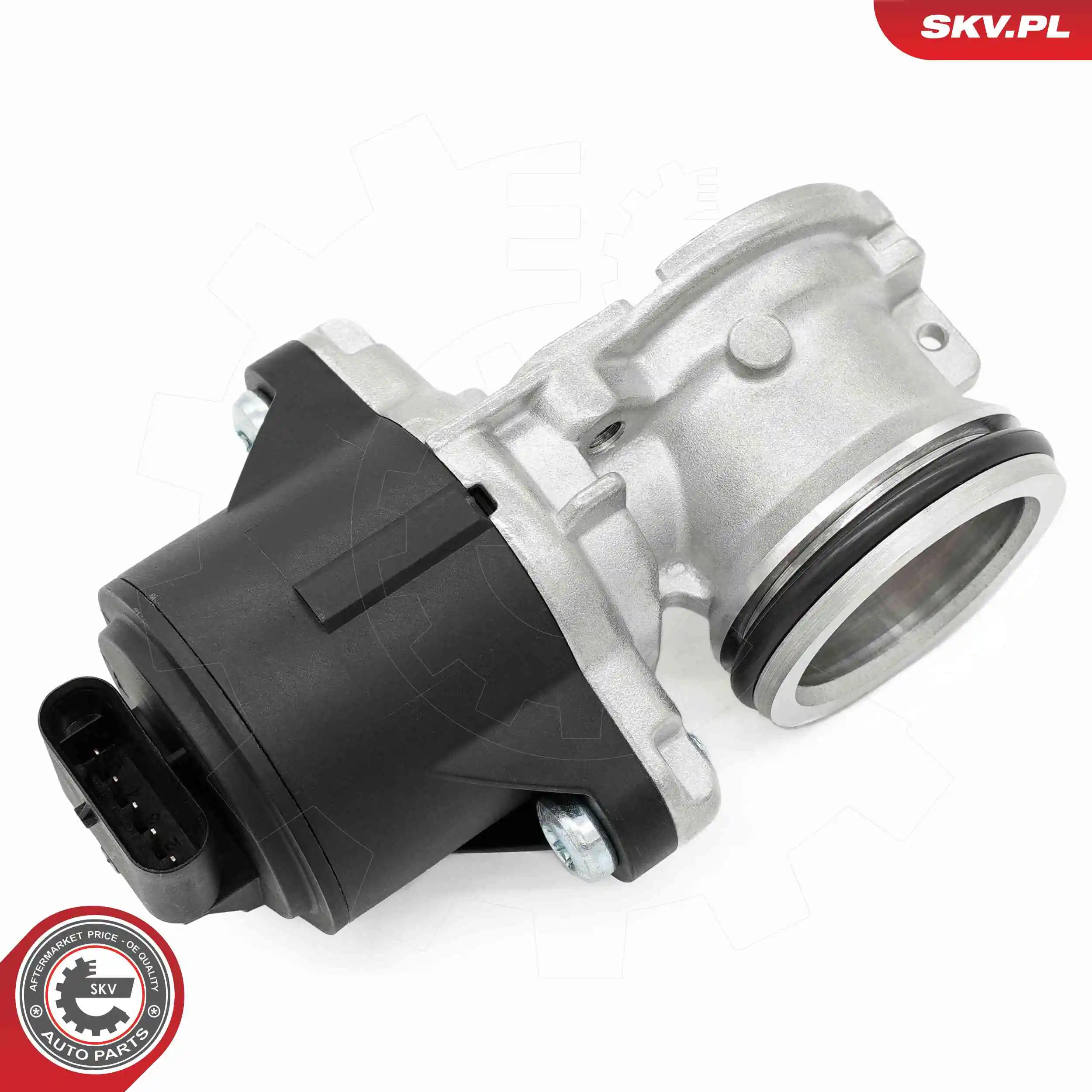 ESEN SKV 14SKV275 EGR Valve