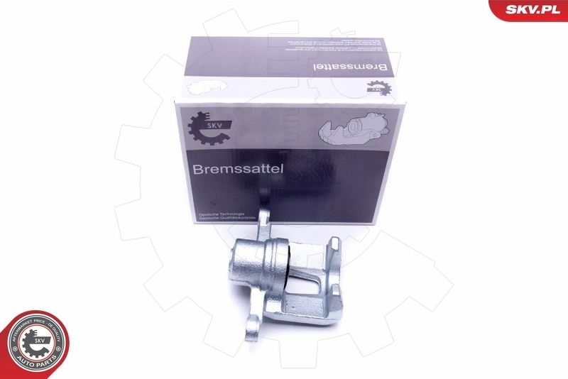 Brake Caliper 45SKV343