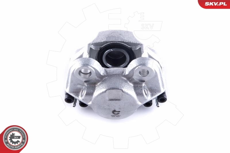 Brake Caliper 55SKV351