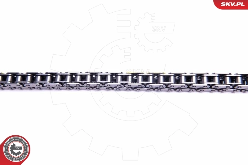 Timing Chain Kit 21SKV183