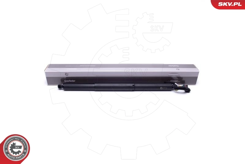 Electric Motor, tailgate 52SKV901