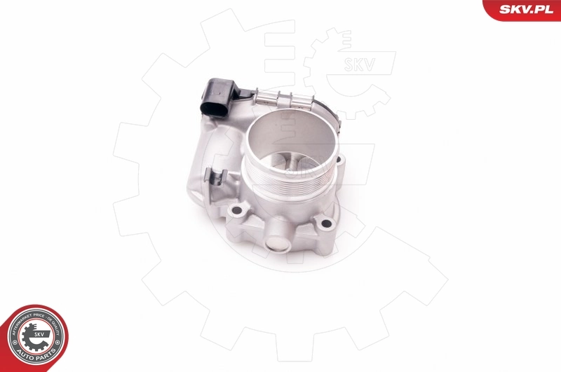 Throttle Body 12SKV068