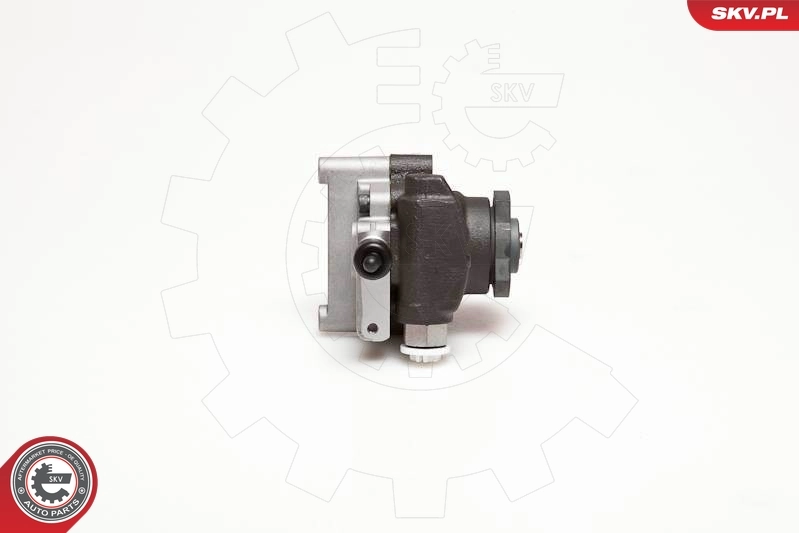 Hydraulic Pump, steering 10SKV094