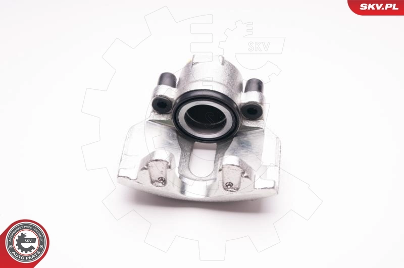 Brake Caliper 23SKV016