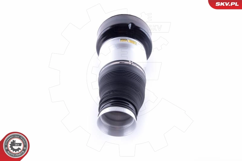 Air Spring, suspension 58SKV038