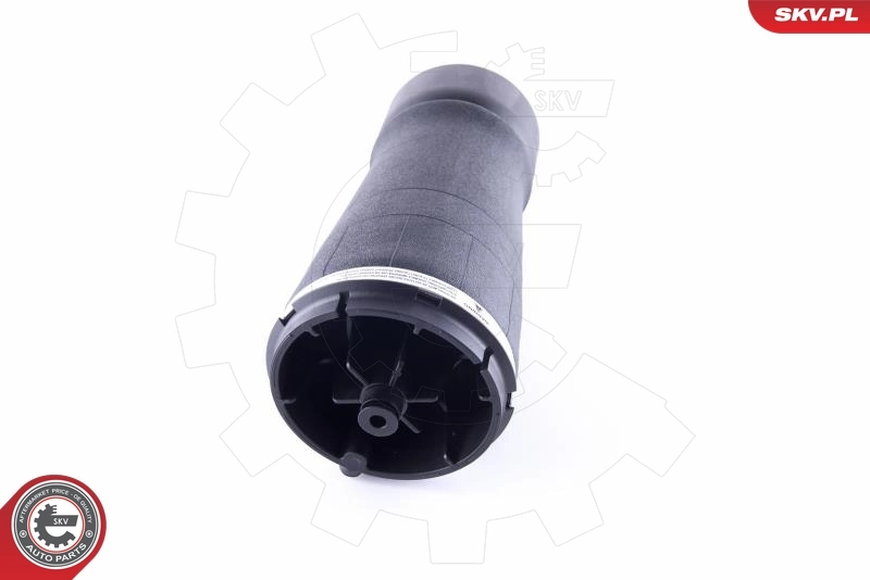 Air Spring, suspension 58SKV016