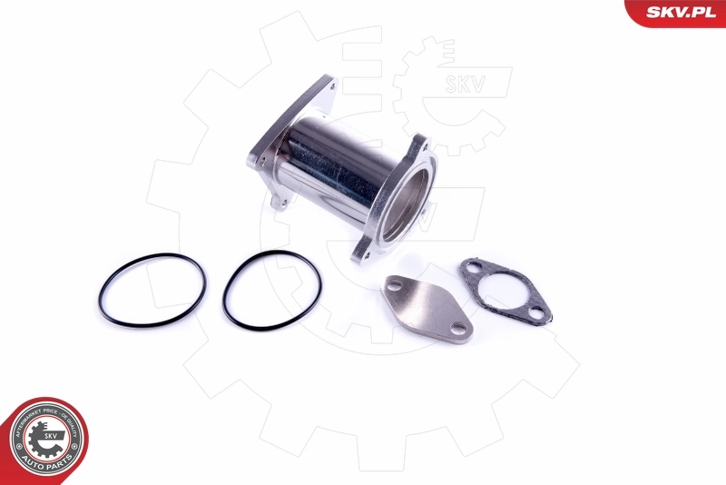 ESEN SKV 14SKV582 Repair Set, EGR valve