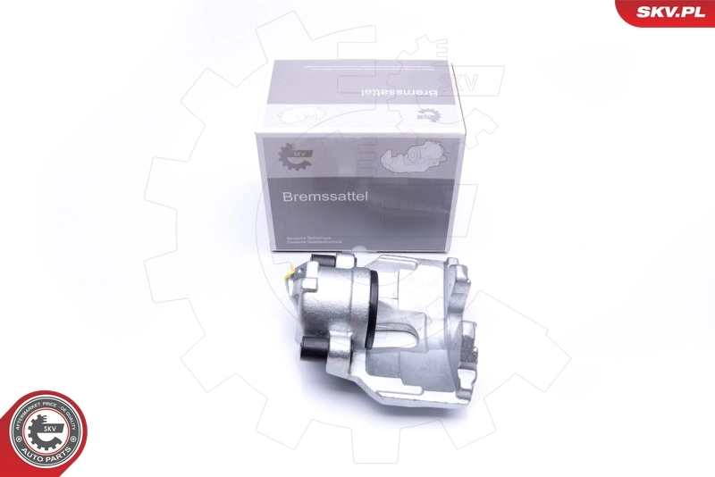 Brake Caliper 45SKV101