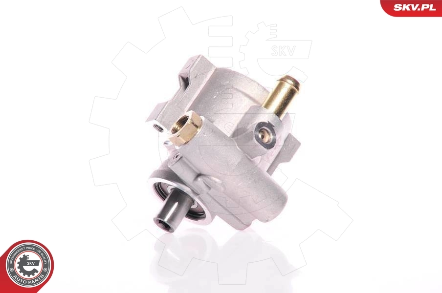 Hydraulic Pump, steering 10SKV154