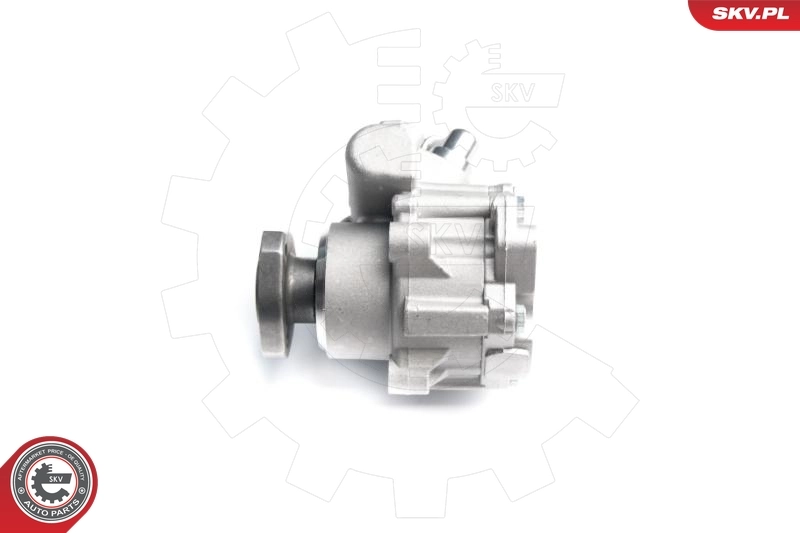 Hydraulic Pump, steering 10SKV173