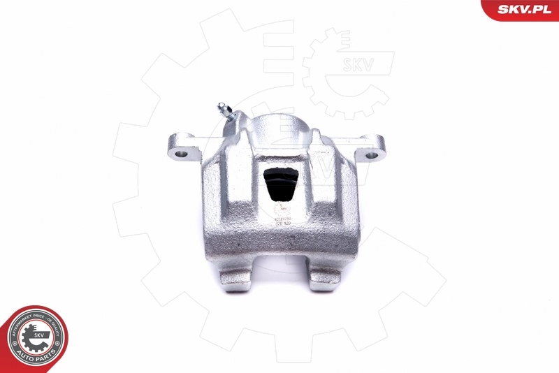 Brake Caliper 42SKV793