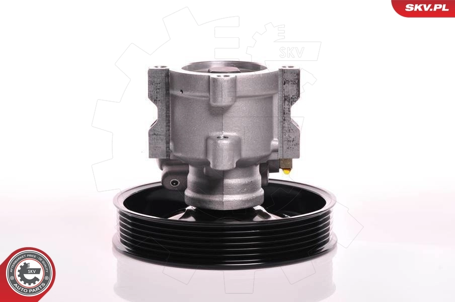 Hydraulic Pump, steering 10SKV142