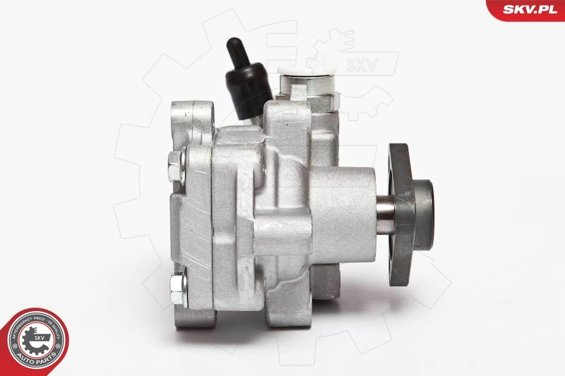 Hydraulic Pump, steering 10SKV075