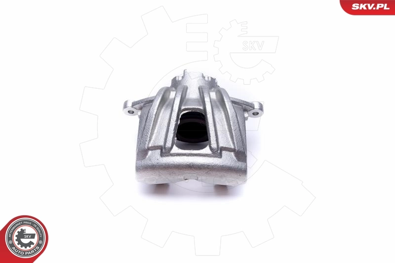 Brake Caliper 50SKV132