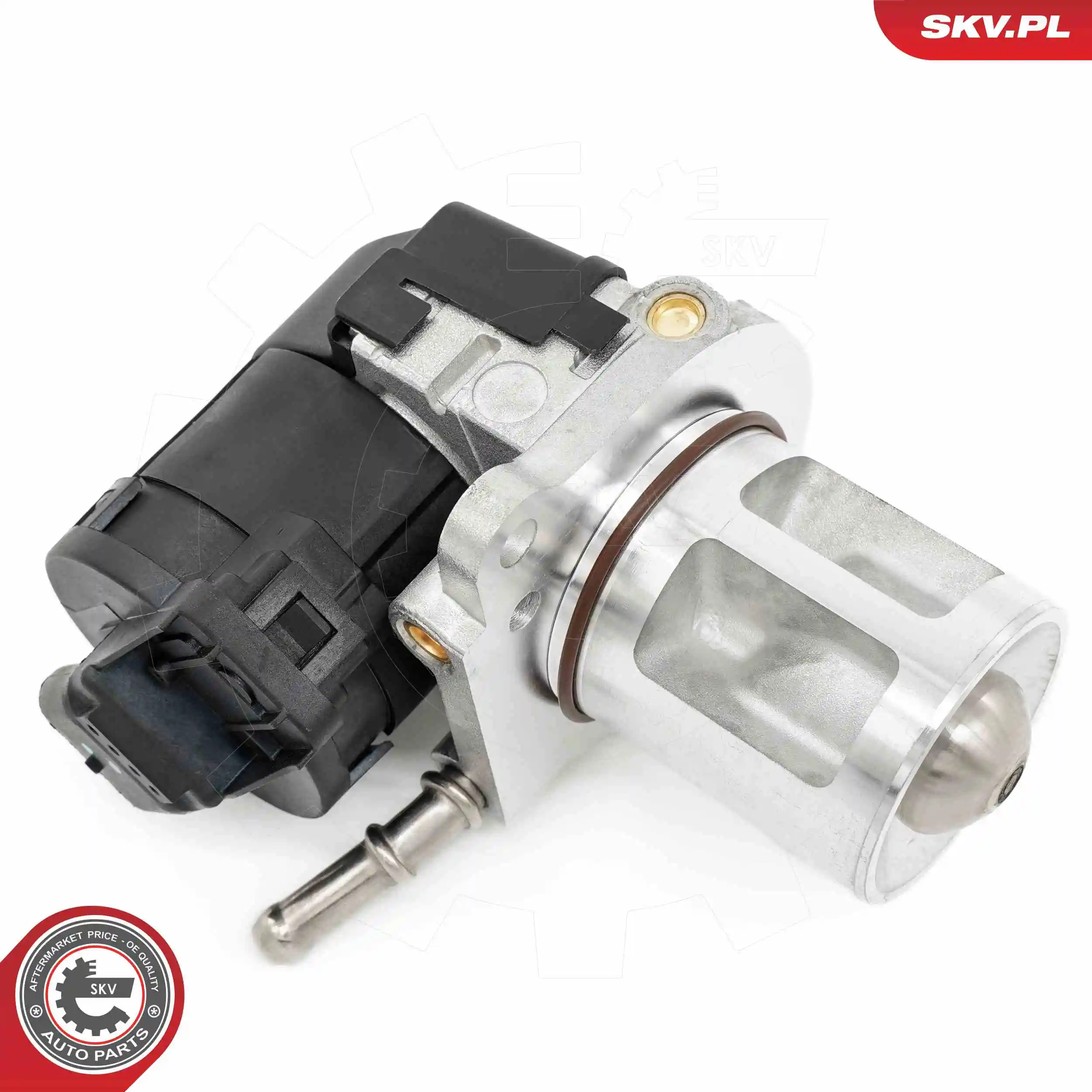 EGR Valve 14SKV266