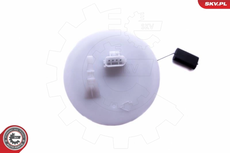 Fuel Feed Unit 02SKV819