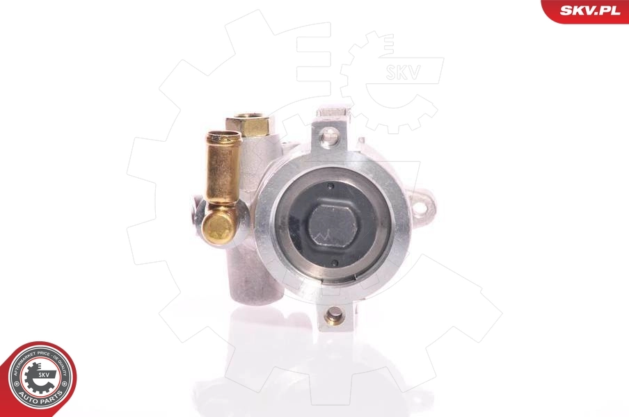 Hydraulic Pump, steering 10SKV126