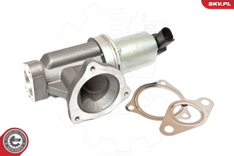 EGR Valve 14SKV054
